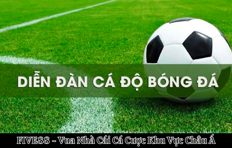 Diễn đàn cá độ bóng đá uy tín